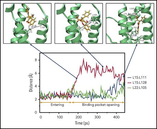 Figure 3. Sequential binding pocket opening when warfarin accesses its binding site. The profile of the minimum distances between the hydrophobic paired leucine residues (L15:L111, L15:L128, and L22:L105) that help sustain a stable VKOR structure are recorded during the 448-picosecond steered MD simulation (bottom). Snapshots of warfarin inside VKOR at the indicated time points are shown (insets). Key residues, encountered during warfarin’s accessing the binding site in VKOR, are labeled and displayed using stick diagrams. Minimum distances between paired lysine residues are labeled.