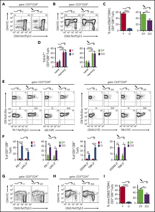 Figure 2. Phenotypic characterization of splenic CD8+ and CD4+ T cells in RAG1−/− recipients. (A-B) To identify naive and memory CD8+ T cells, splenocytes were stained for CD3, CD8, CD62L, and CD44 expression. Shown are representative flow cytometry profiles of naive (CD44−CD62L+), central memory (CM; CD44+CD62L+), and effector memory (EM; CD44+CD62L−) T cells within the CD3+CD8+ T cells from young and aged nontransplanted mice and RAG1−/− recipients of DY and DO HSCs. (C) Quantification of naive CD3+CD8+ T cells within the total CD3+CD8+ population (Y, n = 8; O, n = 7; DY, n = 16; DO, n = 19). (D) Proliferation of CD3+CD8+ T cells isolated from young and old animals and RAG1−/− recipients of DY and DO HSCs was analyzed by expression of the nuclear protein Ki-67. Percentage of naive (CD44−) and memory (CD44+) CD3+CD8+ T cells, which are Ki-67+, are depicted (Y, O, n = 4; DY, n = 5; DO, n = 9). (E) CD3+CD8+ T cells isolated from nontransplanted young and old B6.SJL mice and RAG1−/− hosts transplanted with DY or DO HSCs were stained for the exhaustion marker PD-1, CD244.2, TIM-3, and LAG-3. Representative flow cytometric profiles of individual stains are depicted. (F) Percentages of the different inhibitory receptors within CD3+CD8+ T cells are shown (Y, n = 8; O, n = 7; DY, n = 16; DO, n = 19). (G-H) Splenic naive CD4+ T cells from recipients of DY and DO HSCs and nontransplanted young and aged mice were identified as CD44−CD62L+ cells within the CD3+CD4+ T-cell population. Representative dot plot profiles of the flow cytometric analysis are depicted. (I) Quantification of naive CD3+CD4+ T cells within the total CD3+CD4+ population (Y, n = 8; O, n = 7; DY, n = 16; DO, n = 19). *P < .05; **P < .01; ***P < .001; ****P < .0001 2-tailed unpaired Student's t-test, mean + SEM.