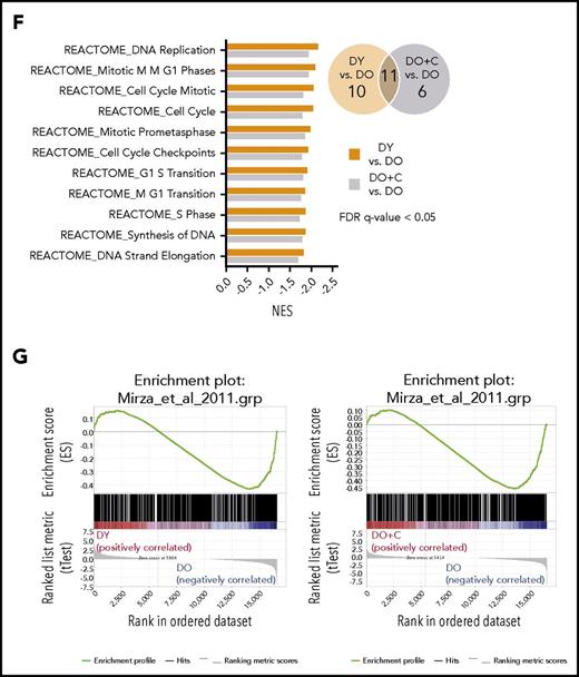 Gene expression profiles of naive CD4+T cells and CD19+B cells isolated from HSC-transplanted RAG1−/−mice. (A) Schematic representation of the experimental setup: HSCs were isolated from young and old B6.SJL (CD45.1) mice and cultured for 16 hours ± 5 µM CASIN. 600 HSCs were transplanted into sublethally irradiated young RAG1−/− (CD45.2) recipients. Twelve weeks after transplantation, naive CD4+ T and CD19+ B cells were isolated and RNA sequencing was performed (B) Venn diagram of significantly differentially expressed genes in naive CD4+ T cells between DY vs DO (blue circle) and DO+C vs DO (green circle). The heat map shows unsupervised clustering of the genes expressed differentially in the same direction between the 2 groups. (C) Venn diagram of significantly differentially expressed genes in CD19+ B cells between DY vs DO (orange circle) and DO+C vs DO (violet circle). Genes, differentially expressed in the same direction between the 2 groups, are depicted as heat map (unsupervised clustering). (D) Venn diagram shows GSEA of significantly enriched GO gene sets differentially expressed in naive CD4+ T cells between DY vs DO (blue circle) and DO+C vs DO (green circle). Normalized enrichment scores (NES) of GO categories differentially expressed in the same direction between the 2 groups are depicted. (E-F) Venn diagrams show GSEA of significantly enriched GO and REACTOME gene sets, respectively, differentially expressed in CD19+ B cells between DY vs DO (orange circle) and DO+C vs DO (violet circle). NES of GO and REACTOM categories differentially expressed in the same direction between the 2 groups are depicted. (G) GSEA enrichment plots of correlation between gene sets previously identified by Mirza et al.33 to be differentially expressed in naive CD4+ T cells from nontransplanted young and aged mice and differentially expressed genes between DY and DO HSC recipients as well as DO+C and DO recipients. DY, DO and DO+C, n = 3. (D-F) FDR q-value < 0.05; (G) FDR q-value < 0.25.