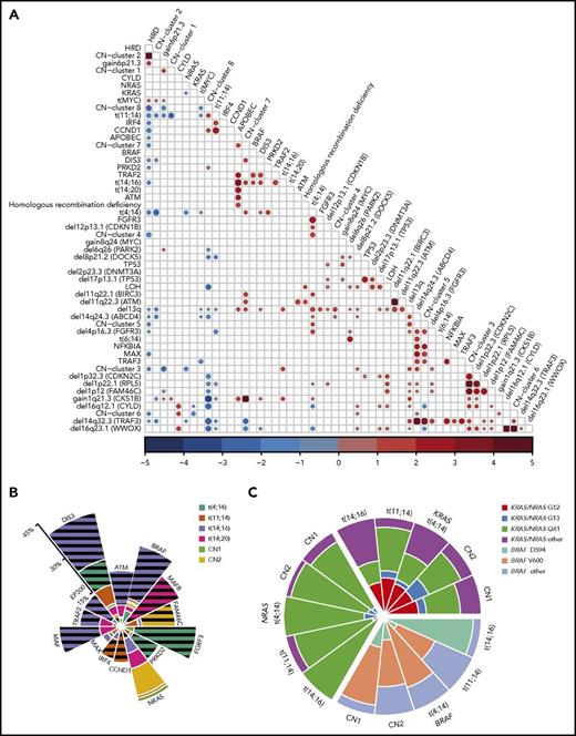 Figure 4. Oncogenic dependencies and their impact on survival. (A) The associations between acquired mutations, cytogenetic subgroups, CNAs, and copy number (CN) clusters. Positive (red) and negative (blue) associations and their odds ratios are shown, where the size of the circle represents the significance of the P value defined by the 2-sided Fisher’s exact test. Both gain- and loss-of-function mutations were associated with translocations. The t(4;14) group was associated with mutations of FGFR3, DIS3, and PRKD2, gain of 1q, and deletion of 13q, 14q, 4p16.3 (FGFR3), 1p22.1 (RPL5), 11q22.1 (BIRC3), and 12p13.1 (CDKN1B). The t(11;14) group was associated with mutations in IRF4 and CCND1, but not with gain of 1q or 6p or deletion of 13q, 14q, 8p, or 1p22.1 (RPL5). The t(14;16) group was associated with mutations in BRAF, DIS3, and TRAF2, del13q, gain of 1q, and the APOBEC signature. The t(14;20) group was associated with the APOBEC signature. Hyperdiploidy was associated with gain of 6p and translocations involving MYC, but not with mutations in MAX, DIS3, IRF4, or CCND1 or del13q or del14q. The most significant associations were between CN changes on the same chromosomes (del CDKN2C, RPL5, and FAM46C; del TRAF3 and ABCD4; del WWOX and CYLD), as well as CN cluster 2 with HRD, CN cluster 7 with gain of 1q, and CN cluster 6 with del16q. (B) Significant enrichment/depletion of mutated genes within translocation and hyperdiploid CN clusters. The percentage of samples with the gene mutated within the subgroup is shown. Significance is indicated by hatched lines. MAX mutations are significantly underrepresented in the CN-2 group. (C) The distribution of codon usage within KRAS, NRAS, and BRAF by molecular subgroup. Proportion of codon usage is indicated by the distance from the center. KRAS mutations are split between codons G12, G13, and Q61, whereas NRAS is predominantly mutated at codon Q61 (P < 2.2 × 10−16). BRAF mutations mostly affect codon V600, except in the t(14;16) group, where codon D594 is mutated (P = .003).