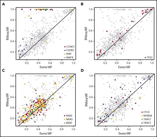 Figure 5. Mutations in tumor suppressor genes and oncogenes are expressed. (A) Scatterplot with oncogene and tumor suppressor gene exome and RNA-seq VAFs (r2 = 0.585). Translocation partner oncogene mutations are colored and are generally outliers with increased expression. (B) TP53 mutations, including missense, nonsense, and frameshift, are detectable according to VAF. High VAF on either axis is due to deletion of TP53 and is indicative of biallelic inactivation. (C) KRAS, NRAS, and BRAF mutations are expressed according to VAF. NRAS has more high VAF-expressed mutations (>0.5), because it is on 1p, and the nonmutated allele is frequently deleted. (D) NF-κB genes CYLD, NFKBIA, TRAF2, and TRAF3.