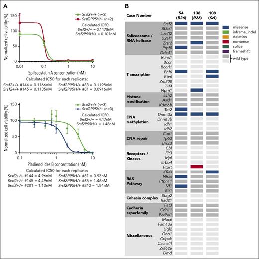 Figure 7. Srsf2P95H/+ expression does not substantially sensitize to splicing inhibitors but does enable accumulation of human MDS/MPN-relevant mutations. (A) Response of Hox-immortalized cells of the indicated genotypes to the spliceosome inhibitors spliceostatin A (left) and pladienolide B (right) with calculated 50% inhibitory concentration (IC50). (B) Analysis of somatic mutations accumulating in the BM of moribund R26-CreER Srsf2P95H/+ (n = 2) and an hScl-CreER R26eYFP Srsf2P95H/+ animal (n = 1) by exome capture analysis. Mutations are defined against the list of most frequently occurring mutations in human MDS/MPN.