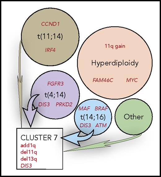MM can be divided into nonoverlapping molecular subtypes, shown in circles, based on the primary genetic event, identified by black text. These appear to partially determine the profile of secondary genetics events, summarized in red text. Clustering of the copy number abnormalities identifies novel clusters with convergent evolution, such as cluster 7, identifying patients with a poor prognosis.