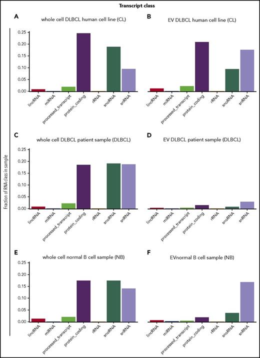Figure 3. RNA species found in EVs and cells. (A) DLBCL cell lines OCI-Ly3, HBL1, TMD8, OCI-Ly1, and OCI-Ly7, (B) EVs from DLBCL cell lines OCI-Ly3, HBL1, TMD8, OCI-Ly1, and OCI-Ly7, (C) whole cell DLBCL primary samples DLBCL1, DLBCL2, DLBCL3, DLBCL4, DLBCL5, (D) EVs from DLBCL primary sample DLBCL6, (E) whole cell normal B cells NB1, NB2, and NB3, and (F) EVs from normal B cells B2. EVs contain a variety of RNA species with enrichment for noncoding RNAs, long intergenic noncoding RNAs (lincRNAs), snoRNAs, and snRNAs. Quantities are displayed as the sum of average transcripts per million (TPM) per RNA class. rRNA, ribosomal RNA.