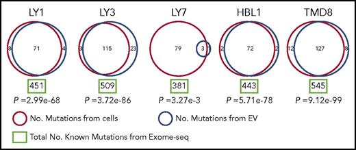 Figure 6. Mutational analysis of DLBCL cell lines and EVs. Mutations from DLBCL cell lines are listed in red circles and those from EVs are listed in blue circles with total number of known mutations from exome-seq (green rectangle) demonstrating that several mutations from cell lines are detected in EVs. RNA sequencing indicated that all mutations found in EVs were also present in the cell of origin, but low coverage caused them to be filtered out in the analysis. This technical issue also explains the small number of mutations shared between OCI-Ly7 cells and corresponding EVs, although this could reflect a difference in biology between cell lines. The mutations shared between cell lines and EVs could ultimately provide a way in which disease status could be monitored via liquid biopsy in DLBCL patients.