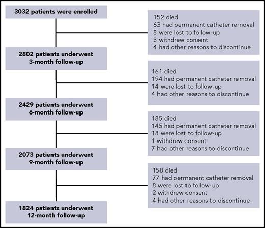 Figure 1. Patient flowchart.
