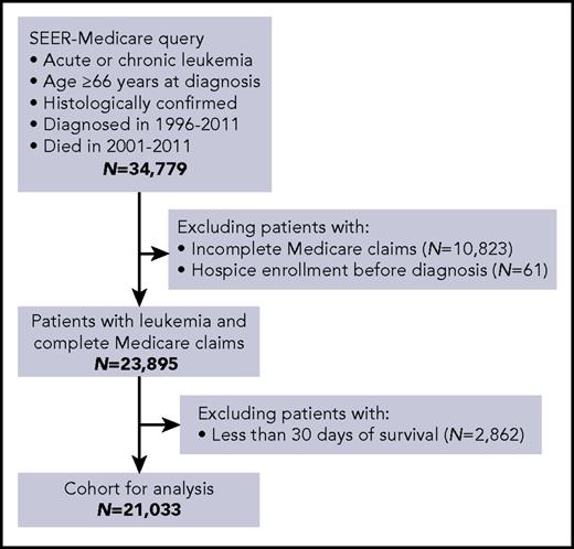 Figure 1. Cohort selection from the SEER-Medicare database. Inclusion and exclusion criteria are indicated.