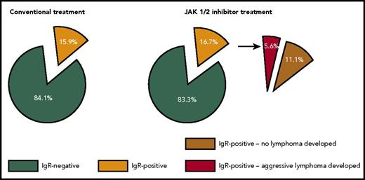 Frequencies of immunoglobulin (Ig) rearrangement in the bone marrow of MPN patients receiving conventional therapy (n = 44) or JAK inhibition (n = 54). In this latter cohort, 3/54 (5.6%) patients developed an aggressive B-cell lymphoma, and all of them had in their bone marrow a preexisting B-cell clone that was later found to be related to the malignant lymphoma. See Figure 1E in the article by Porpaczy et al that begins on page 694.