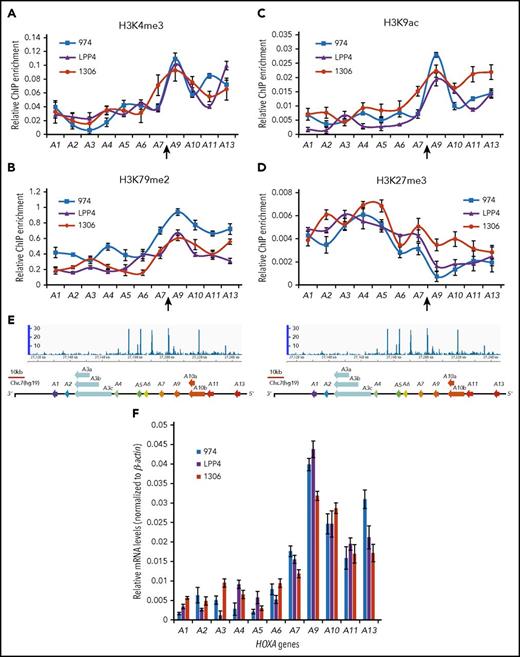 Figure 1. The CBS7/9 boundary demarcates active and repressive chromatin domain and maintains ectopic expression of posterior HOXA genes. ChIP analysis of H3K4me3 (A), H3K79me2 (B), H3K9ac (C), and H3K27me3 (D) across the HOXA locus in 3 subtypes of primary AML. Patient 974 possesses NPM1C+ and FLT3-ITD mutations, patient LPP4 contains MLL rearrangement, and patient 1306 has gain of MLL copy number. (E) ChIP-seq analysis of CTCF binding at the HOXA locus obtained from the NCBI GEO public database (accession number GSM1335528). (F) Quantitative reverse transcription–polymerase chain reaction (qRT-PCR) analysis of HOXA gene expression in 3 subtypes of primary AML (974, LPP4, and 1306).