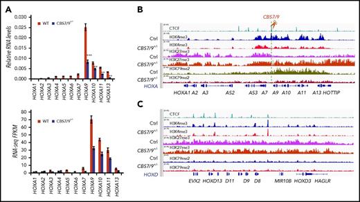 Figure 3. CBS7/9 boundary plays a critical role in maintaining the posterior HOXA chromatin neighborhood. (A) qRT-PCR analysis of HOXA gene expression in MOLM13 cells compared with the WT control and the CBS7/9+/− clone (upper panel). RNA-seq reads of HOXA gene transcripts comparing WT and CBS7/9+/− MOLM13 cells (lower panel). (B) ChIP-seq analysis of H3K27me3, H3K4me3, and H3K79me2 modifications in the HOXA locus in MOLM13 cells compared with the WT control and the CBS7/9+/− clone. (C) ChIP-seq analysis of H3K27me3, H3K4me3, and H3K79me2 modifications in the HOXD locus in MOLM13 cells compared with the WT control and the CBS7/9+/− clone.
