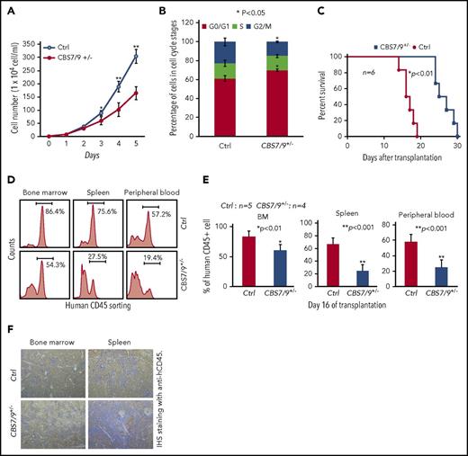 Figure 5. Dysregulation of CBS7/9 boundary inhibits leukemic cell proliferation and prolongs survival time of transplanted NSG mice. (A) Proliferation curves of WT control and CBS7/9+/− MOLM13 cells were assessed using a cell viability count. (B) FACS analysis of the cell cycle was carried out using propidium iodide staining of WT control or CBS7/9+/− MOLM13 cells. (C) Survival of sublethally irradiated NSG mice (n = 6 per group) transplanted with WT control or CBS7/9+/− MOLM13 cells by tail vein injection. (D) FACS analysis of human CD45+ cell chimerism in BM, spleen, and PB from representative mice receiving control or CBS7/9+/− MOLM13 cells. (E) Percentages of human CD45+ cells in BM, spleen, and PB of NSG mice 16 days after transplantation of WT (n = 5) or CBS7/9+/− (n = 4) MOLM13 cells. (F) Anti-hCD45 immunohistochemical staining (IHS; brown) of femur and spleen sections from representative mice transplanted with WT or CBS7/9+/− MOLM13 cells for 16 days. Original magnification ×200. Data are mean ± SD from 3 or 4 independent experiments. *P < .05, **P < .01, Student t test.