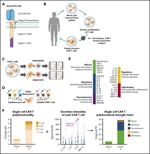 Figure 1. Schematic representation of the method used to evaluate T-cell polyfunctionality. (A-B) Schematic representations of CAR construct configuration and treatment protocol. (C-D) Product T-cell polyfunctionality was assessed by using enzyme-linked immunosorbent assay (ELISA) detection of proteins from each single-cell chamber after T-cell stimulation. (E-F) Polyfunctionality was measured through a PSI, spanning a prespecified panel of 32 key immunologically relevant molecules across major categories: homeostatic/proliferative, inflammatory, chemotactic, regulatory, and immune effector. cyt, cytokine; MIP-1α, macrophage inflammatory protein 1α; scFv, single-chain variable fragment.