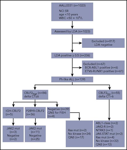 Figure 1. Screening algorithm. Testing pipeline developed for downstream characterization of Ph-like ALL cases for the identification of kinase alterations. QNS, quantity not sufficient.
