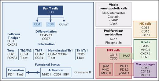 Figure 1. CyTOF panel for the simultaneous assessment of HRS cells and infiltrating immune cells. The CyTOF panel identifies cells of T, B, NK, and macrophage lineages. CD4+ and CD8+ T cells can be further discriminated based on differentiation, polarization, and functional status. Malignant HRS cells are defined by their expression of CD30+ and CD15+, in addition to PAX5, PD-L1, PD-L2, and pSTAT1.