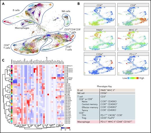 Figure 4. CyTOF analyses of all viable cells. (A) FDLs generated from X-shift analysis within the VorteX visualization environment of all viable singlet cells from 7 primary cHLs and 10 RLNTs. A total of 15 000 events was collected from each sample, and the resulting 255 000 events were pooled together prior to clustering. The X-shift algorithm clusters events according to similarities in expression of CyTOF panel proteins, grouping events with shared lineage, differentiation, and polarization within the pool. Every identified unique population is labeled with a specific color based on the hex color code. (B) Major lineages delineated by expression of key markers: T cells (CD4+ and CD8+), B cells (PAX5+ and MHC class II+), NK cells (CD56+), and macrophages (PD-L1+, MHC class II+, and PAX5−). (C) Heat map of relative expression of each CyTOF panel protein marker in clusters denoted by hex color code (y-axis). Relative expression defined by a z-score. Indicated clusters contain >5% of sampled events per case. Clusters are defined by the expression of lineage and differentiation markers (left, x-axis; right, phenotype key).