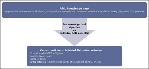 Knowledge bank approach to individualizing AML patient therapy. Schematic representing use of an AML knowledge bank to predict an individual AML patient’s journey.