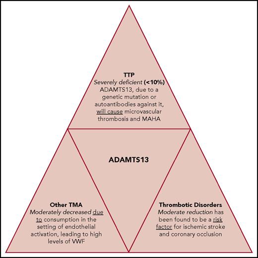 Figure 1. ADAMTS13 deficiency. ADAMTS13 deficiency is the cause of TTP but also has a significant role in the pathophysiology, diagnosis, and prognosis of other TMAs and thrombotic disorders, such as stroke and myocardial infarction.