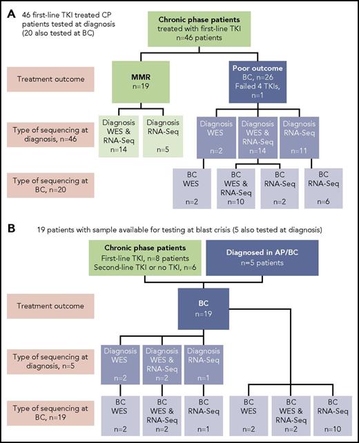 Figure 1. Patients tested and type of sequencing. Of the total cohort of 65 patients, 38 had samples tested by WES and 59 had samples tested by RNA-Seq. (A) Forty-six CP patients treated with first-line TKIs who were all sequenced at diagnosis. Twenty of the 46 were also sequenced at BC. (B) Nineteen patients selected for sequencing on the basis of available samples at BC. Five of these patients also had samples available for sequencing at diagnosis: 2 patients diagnosed in accelerated phase (AP), 2 patients who received no TKI therapy, and 1 patient treated with a second-line TKI.