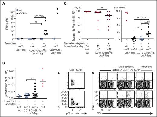 Figure 5. Recognition of TAg+ lymphoma cells by CD8+ T cells. (A) B cells of 5- to 7-week-old tamoxifen-treated (day 0-4) or untreated mice were isolated on days 17 to 24, activated with cytosine guanine dinucleotide and cocultured with TCR-IV–transduced CD8+ T cells for 3 days. The IFN-γ concentration in the supernatant was determined by ELISA. Each dot represents the IFN-γ response to 1 mouse. Shown are combined data of 2 independent experiments. One-way analysis of variance and Sidak’s post hoc test were performed. Adjusted P values are indicated. (B) Nine- to 12-week-old CD19-CreERT2 × LoxP-Tag mice were tamoxifen treated (day 0-4) or left untouched. The positive control was immunized with 1 × 107 TAg+ tumor cells at day −7 (symbols in red). Untreated wt mice served as negative control. On day 14/15, splenocytes were stained with pIV-tetramer and were restimulated with medium (-), TAg peptide IV, or TAg+ lymphoma cells. Shown are exemplary FACS plots of tamoxifen-treated CD19-CreERT2 × LoxP-Tag mice, which stained pIV-tetramer− (upper row) and pIV-tetramer+ (lower row). Combined data of 3 independent experiments were analyzed with 1-tailed Mann-Whitney U test. (C) Six- to 9-week-old mice were tamoxifen treated or remained untouched. Mice were immunized IP with 1 × 107 TAg+ tumor cells on day 10 or 41 (symbols in red) or stayed nonimmunized. The TAg peptide IV–specific CTL response was evaluated by in vivo cytotoxicity assays on day 17 (left) or day 48/49 (right). Shown are combined data of 2 independent experiments. Two-tailed Mann-Whitney U test (left) and Kruskal-Wallis test with Dunn’s post hoc test (right) were performed. Adjusted P values are indicated.
