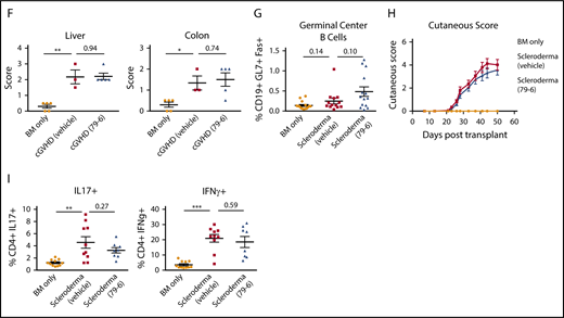 Inhibition of BCL6 corepression activity can treat established BO cGVHD not sclerodermatous cGVHD. (A-E) BO cGVHD was established and assessed as described above. On days 28 to 56, mice were treated with vehicle or 50 mg/kg 79-6. (A) Pulmonary function test results demonstrate that 79-6 is able to improve pulmonary function compared with cGVHD control. (B-C) Frequency of GC B cells not TFH is decreased in mice treated with 79-6. (D) Immunoglobulin deposition in the lung had a trend toward being decreased (IgG in Fitc and Dapi; original magnification ×20). (E) Collagen deposition in the lung was reduced with 79-6 treatment (Masson's trichrome stain; original magnification ×20). (F) Histopathology scores of hemotoxylin and eosin–stained tissue sections demonstrated that 79-6 did not improve organ damage in liver and colon. (A-B) Data are pooled from 3 experiments, 4 to 7 mice per group per experiment. (C) Pooled from 2 experiments, 5 to 8 mice per group per experiment. (D-F) Representative from 1 experiment, 3 to 5 mice per group. (G-I) Sclerodermatous cGVHD was induced in Balb/c recipients treated on day 21 with irradiation (7 Gy by radiograph) and infusion of B10.D2 BM alone (BM only) or with B10.D2 purified T cells (scleroderma). With the appearance of significant difference in skin scores (∼day 21), mice began treatment with 50 mg/kg 79-6. (G) Analysis of frequency of GC B cells in spleens taken day 50 after transplant. Frequency of GC B cells in scleroderma mice demonstrates that the GC center is not a significant contributor to this disease. (H) Skin scores were determined twice weekly as described.18 Treatment with 79-6 was unable to improve skin manifestations of disease. (I) Cytokine analysis from pooled (2 mice per sample) lymph node harvested at day 50 after transplant. Cells were stimulated with phorbol myristate acetate (PMA)/ionomycin for 5 hours and then stained. 79-6 treatment did not change the frequencies of IL-17A+ or IFNg+ CD4+ cells from that of scleroderma controls. (G-I) Data are pooled from 2 experiments, 7 to 10 mice per group per experiment. The unpaired Student t test was used when comparing 2 groups. Error bars indicate SEM. Significance: *P < .05; **P < .01; ***P < .001.