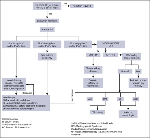 Figure 2. Evaluation and management of anemia. Evaluation and management of anemia. Once the screening blood count demonstrates anemia, an evaluation is necessary and begins with an assessment of iron status. When ferritin (SF) and/or iron saturation levels (TSAT) indicate absolute iron deficiency, referral to a gastroenterologist or gynecologist to identify a specific source of chronic blood loss may be indicated. When ferritin and/or iron saturation values rule out absolute iron deficiency, and signs of inflammation are evident, AI is likely. Depending on ferritin, transferrin saturation, or values of markers suggesting concomitant true iron deficiency, diagnostic steps to identify the disease underlying AI and/or the reason for iron deficiency should be undertaken. A nephrologist may be consulted in the case of GFR reduction and evidence for chronic kidney disease. When ferritin and/or iron saturation values are indeterminant, further evaluation to rule out absolute iron deficiency vs inflammation/chronic disease is necessary. A successful therapeutic trial of iron would confirm absolute iron deficiency. No response to iron therapy would support the diagnosis of AI, suggesting that ESA therapy may be beneficial. Reprinted from Goodnough and Schrier8 with permission.