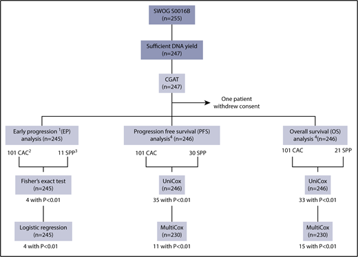 Figure 1. Study overview. 1. Early progression is defined as progression or death within 2 years after registration. One additional patient was excluded from this set of analyses, who withdrew consent after 50 days from registration. 2. CAC seen in >5 patients. 3. Regions identified through SPP analysis with log-rank statistics using Nexus (see “Methods”). P < .01 was used as a cutoff for the Fisher exact test for early progression, and univariate and multivariate Cox analyses for PFS and OS.