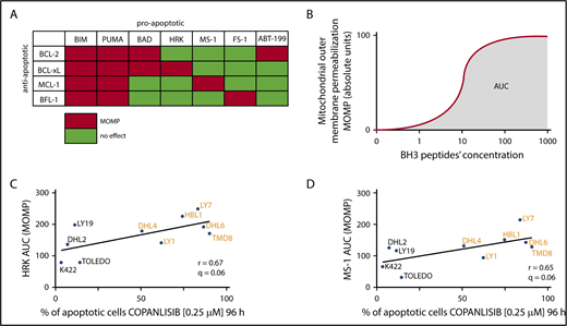 Figure 3. Copanlisib-induced apoptotic cell death is dependent on BCL-xL– and MCL-1–mediated mitochondrial priming. (A) Interaction pattern between proapoptotic BH3 peptides (or BH3 mimetic–ABT-199) and antiapoptotic BCL-2 family members. Red indicates high-affinity binding; green reflects undetectable binding. (B) Illustration of the determination of AUC as a function of cytochrome c release over the dose range of BH3 peptides. (C-D) Correlation between cytochrome c release (indicative of MOMP) induced by HRK (C) or MS-1 (D) peptides (y-axis) and induction of apoptosis after 96-hour exposure to copanlisib (x-axis). Each AUC is an average of 3 biological replicates. Note that BH3 profiling and copanlisib-induced apoptosis were assessed in separate experiments. One-sided P values from the correlation with all tested BH3 peptides were recalculated with the Benjamini-Hochberg procedure and q < 0.1 was considered statistically significant.