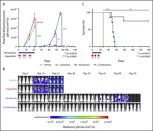 Figure 6. Combination of copanlisib and venetoclax is highly synergistic in a DLBCL xenograft model. (A) Bioluminescence of NSG mice xenotransplanted with luciferized mCherry+ LY1 DLBCL cells treated with vehicle (black; n = 8), copanlisib alone (red, 12 mg/kg IV, 2 days on/5 days off on days 1, 2, 8, 9, 15, 16; n = 9), ABT-199 alone (blue, 100 mg/kg orally, daily on days 1-21; n = 7), or combination copanlisib and ABT-199 (purple; n = 8). Treatment was stopped at day 21. Asterisks indicate P values <.05 in a 1-sided Student t test. Error bars represent SEM. (B) Representative prone bioluminescence images from panel A. (C) Kaplan-Meier survival plot of the treated cohorts. The P values were obtained by log-rank test.