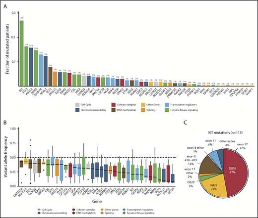 Figure 1. Overview of mutations identified by targeted sequencing. (A) Bar graph showing the frequency of mutated patients per gene for all genes with detected variants. Bars are colored according to the functional category of the gene (supplemental Table 16). Mutation frequencies are shown above the bars (%). FLT3 variants include FLT3-ITD and FLT3-TKD. (B) Box plots showing the median, 25% quantile, and 75% quantile of the VAF for all genes mutated in >4 patients. The dashed line indicates 50% VAF that was expected for heterozygous mutations. VAFs were corrected for patient-specific chromosomal aberrations and sex bias. Genes were color coded according to their assigned category. FLT3-ITDs were not included in this analysis. (C) Pie chart showing the distribution of 113 KIT mutations in 89 patients for the most frequent codons and exons, with mutation frequencies shown as percentage.