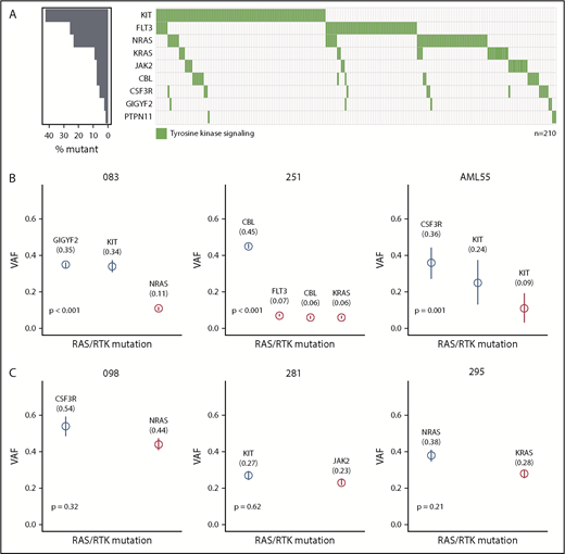 Figure 2. Mutational landscape and clonal heterogeneity of RAS/RTK signaling genes. (A) Mutational landscape showing patients with mutations in RAS/RTK pathway (right panel). The mutation frequency of each gene is shown (left panel). (B) VAFs of RAS/RTK pathway mutations with evidence for clonal heterogeneity for 3 illustrative patients. (C) VAFs of RAS/RTK pathway mutations without evidence for clonal heterogeneity. Clonality prediction was determined using the Pearson Goodness-of-Fit Test.
