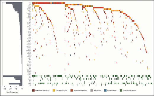 Figure 3. Mutational landscape of 327 mutated t(8;21) AML patients. The landscape shows all genetic and cytogenetic aberrations for each patient (right panel). Mutations are color coded by mutation type. The histogram shows the frequency distribution of all aberrations (left panel).