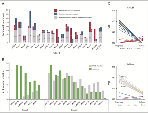 Figure 5. Distribution of somatic mutations in paired diagnosis relapse samples. (A) Bar graph showing the total number of SNVs per patient. For each patient, the number of mutations in diagnosis and relapse is depicted as shared, unique to diagnosis, or unique to relapse. (B) Ratio of stable/unstable (gained or lost) mutations. Patients with ≥60% gained/lost mutations were considered group B. (C) VAF plots of 2 exemplary patients from each group (group A: AML27; group B: AML38) showing the different evolutionary patterns observed from diagnosis to relapse. Known AML driver genes are highlighted. VAFs were corrected for frequent chromosomal aberrations and sex bias. The VAF plots of the remaining 17 patients can be found in supplemental Figures 10 and 11.