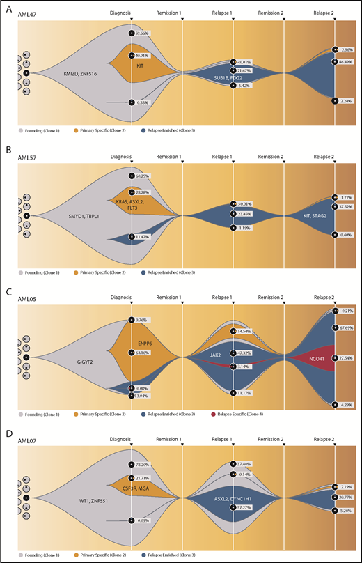 Figure 6. Fish plots showing the clonal evolution from primary tumor to first and second relapse for all double-relapse patients. Model of clonal progression during the course of disease for patient AML47 (A) and patient AML57 (B). For founding clone (gray), primary specific clone (yellow), and relapse-enriched clone (blue), exemplary clone-defining genes are shown. The remaining genes and their affiliation to 1 of the clones, as well as a more detailed evolutionary tree, can be found in supplemental Figures 16 and 17. For diagnosis, Rel1, and Rel2, the proportion of each subclone is shown as the percentage of the whole cell content. AML05 (C) and AML07 (D) from the group with an analogous mutation profile at diagnosis and relapse (group A) were depicted in the same manner. The RUNX1–RNX1T1 fusion was detected in all time points.