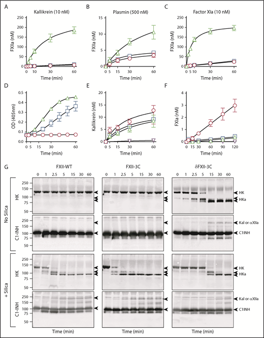 Figure 4. Properties of δFXII-3C and its active form δFXIIa-3C, and their effects on HK cleavage. (A-C) Activation of FXII. FXII-WT (), FXII-3C (□), or δFXII-3C (), 200 nM, were incubated in standard buffer at 37°C with kallikrein (10 nM) (A), plasmin (500 nM) (B), or FXIa (10 nM, subunit concentration) (C). Kallikrein was inhibited with HO3, and FXIa and plasmin were inhibited with aprotinin, and FXIIa generation was determined by chromogenic substrate cleavage. (D) PK activation by FXII-T or δFXII-T. PK (200 nM) was incubated in standard buffer at 37°C with vehicle (), 200 nM FXII-T (□), or δFXII-T (), and cleavage of chromogenic substrate was continuously monitored. (E) PK activation by FXIIa. PK (60 nM) was incubated in standard buffer at 37°C with 50 pM αFXIIa (), βFXIIa (□), or δFXIIa-3C (), or in the absence of FXIIa (). At various times, reactions were stopped with CTI, and kallikrein generation was determined by chromogenic assay. (F) FXI (30 nM) was incubated in standard buffer at 37°C with 10 nM αFXIIa (), βFXII (), or δFXIIa-3C (), or in the absence of FXIIa (). At various times, reactions were stopped with CTI, and FXIa generation was determined by chromogenic assay. For panels A and B, n = 4; C, n = 6; D, n = 3; E, n = 9; and F, n = 6. Error bars ± 1 SD for all panels. (G) HK cleavage in human plasma. Shown are western blots of human FXII-deficient plasma supplemented with FXII-WT, FXII-3C, or δFXII-3C (400 nM) in the absence (−) or presence (+) of PTT-A silica-based reagent. At indicated times, samples were removed into nonreducing sample buffer. Western blots were probed with goat anti-human HK IgG (HK) or goat anti-human C1-INH IgG (C1-INH). Positions of standards for HK, the 2 bands of cleaved HK (HKa), and kallikrein or αFXIIa in complex with C1-INH are shown on the right. Positions of molecular mass standards in kilodaltons are shown to the left of the images.