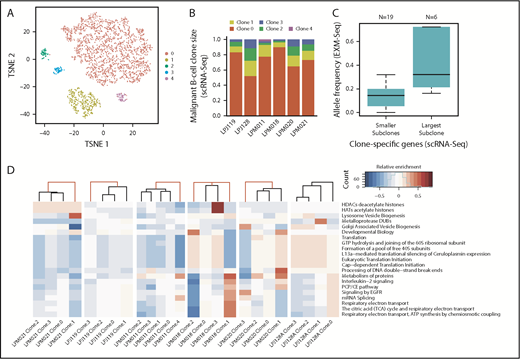 Figure 5. Multiple subclones coexist within FL tumor populations. (A) Malignant B cells in LPM011 segregate into 5 subclones (shown in tSNE space). (B) Relative proportions of tumor subclones is shown for LPM011 along with the 5 other FLs. Largest subclone dominates more than 50% of the tumor population in each analyzed FL. (C) ScRNA-Seq data recapitulates exome-Seq data: genes differentially expressed in largest subclone of each sample (clone 0) harbor somatic mutations with higher allele frequencies compared with the other genes. For each subclone and FL, the top 1 most differentially expressed, mutated gene was included in this comparison. (D) 21 canonical pathways had a strong differential activity across the subclones of at least 1 FL (analysis of variance: P < 1E-16). In 5 of 6 FLs, these pathways distinguish 1 or 2 smaller outlier subclones (red edges in dendrograms), with activity patterns diverging strongly from the corresponding sample’s other subclones, including the largest 1 (clone 0).