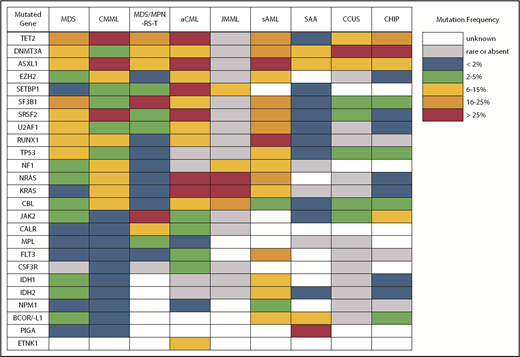 Figure 2. Differences in gene mutation frequency across different MDS/MPN overlap conditions and disorders at the diagnostic boundary with MDS.