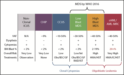 Figure 3. Comparison of features between cytopenic and clonal hematopoietic states that border MDS. BSC, best supportive care; GF, growth factors; HMA, hypomethylating agent; HST, hematopoietic stem cell transplant; IC, induction chemotherapy; IMiD, immunomodulatory imide drugs; Obs, observation.