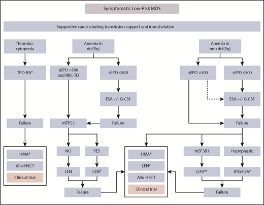 Figure 3. Therapeutic algorithm in LR-MDS patients. Therapeutic options for symptomatic low-risk MDS patients showing anemia or thrombocytopenia. Approximately 80% of eligible patients have EPO levels <200 IU/L, whereas only ∼10% have levels >500 IU/L.15 As a result, ∼90% of LR-MDS patients with anemia are eligible to receive ESAs according to current guidelines. Only 10% to 20% of patients with EPO levels >500 IU/L are unlikely to respond to ESAs and should therefore receive alternative approaches. Notably, prescribing information of the only approved ESA (Eprex) in the EU and United States requires EPO levels <200 IU/L before treatment. At all stages, the patient should be evaluated for a potential clinical trial option. Luspatercept may become a second-line option in the near future in RS+ patients. Thrombopoiesis-stimulating agents are a potential first-line option in patients with clinically meaningful thrombocytopenia. In the presence of TP53-mutation in del(5q), MDS patients should be followed an intensified disease surveillance strategy to detect early signs of disease progression. Dotted arrows indicate potential option in the absence of any therapeutic alternatives. G-CSF, granulocyte colony-stimulating factor; ATG, antithymocyte globulin; CSA, cyclosporine; HMA, hypomethylating agent; LEN, lenalidomide; LUSP, luspatercept; sEPO, serum EPO; TPO-RA, thrombopoietin receptor agonist. *Not presently approved. †Intensified disease surveillance.