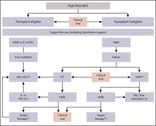 Figure 4. Therapeutic algorithm in HR-MDS patients. The different therapeutic options for HR-MDS patients. The first step is to determine whether the patient is potentially fit and eligible for an allo-HSCT. Pretransplant options may vary depending on disease burden and donor availability, whereas iron chelation is recommended until allo-HSCT. At all stages, the patient should be evaluated for a potential clinical trial option. Patients progressing to AML may take advantage of recent approval of targeted therapies including IDH or FLT3-inhibitors. CTx, chemotherapy; IC, induction chemotherapy; SC, best supportive care; TKI; tyrosine kinase inhibitor. *These could be IDH or FLT3-inhibitors (not presently approved). †Consider posttransplant disease surveillance strategies.