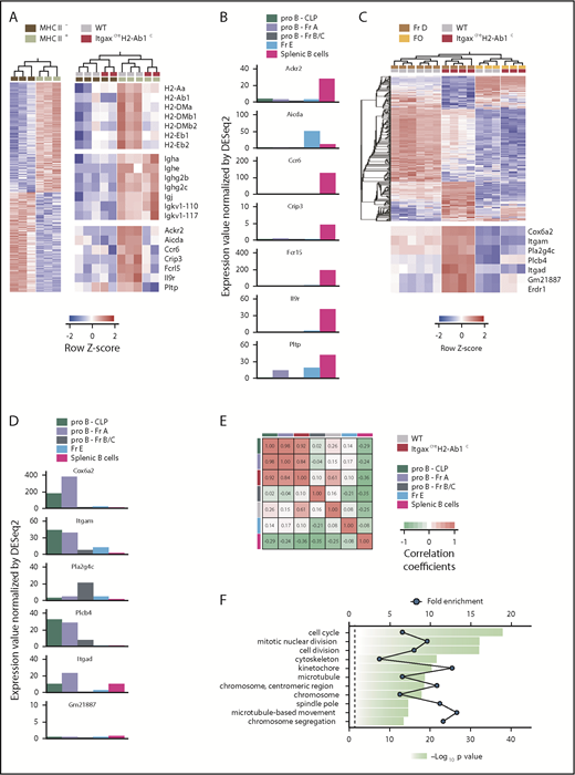 Figure 4. MHC II deficiency delays B-cell development progression. (A) Expression of differentially expressed genes (at least twofold, P ≤ .05) between MHC II− and MHC II+ Fr D WT B-cell precursor samples (left) and of selected MHC II, immunoglobulin, and B-cell differentiation genes in MHC II− or MHC II+ WT and ItgaxcreH2-Ab1c Fr D cells (right). (B) Expression level of selected B-cell differentiation genes in the indicated stages of B-cell development. (C) Expression of differentially expressed genes (at least twofold, P ≤ .05, q = 0.05) between WT and ItgaxcreH2-Ab1c Fr D B-cell precursor samples (top) and of the top 7 genes overrepresented in ItgaxcreH2-Ab1c Fr D cells (bottom). WT and ItgaxcreH2-Ab1c FO B cells are also included for comparison. (D) Expression level of selected B-cell stem cell genes in the indicated stages of B-cell development. (E) Correlation of the transcriptional signature of ItgaxcreH2-Ab1c Fr D cells with those of CLP and Fr A cells. Data in panels B and C, and the comparative data in panel D were obtained from ImmGen. (F) Functional pathways revealed by enrichment analysis on genes differentially upregulated (at least twofold, P ≤ .05, q = 0.05) in ItgaxcreH2-Ab1c Fr D cells compared with WT Fr D cells.