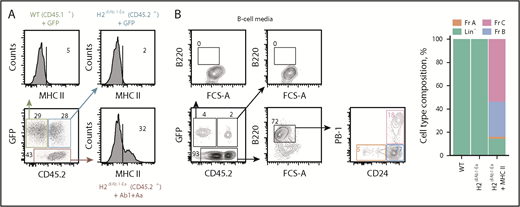 Figure 5. Ectopic MHC II expression drives B-cell development. (A) Competitive in vitro differentiation assay between CD45.1+ WT HSCs transduced with green fluorescent protein (GFP), CD45.2+ H2dlAb1-Ea HSCs transduced with GFP, and CD45.2+ H2dlAb1-Ea HSCs transduced with MHC II Ab1 and Aa chains. MHC II expression is shown 2 days after transduction of the respective HSCs, distinguished by GFP and CD45 allotype expression. (B) Expression of B-cell lineage markers B220, CD24, and PB-1 and percentage of lineage-negative (Lin−) and Fr A-C cells in each of the HSC donors described in panel A, following growth in B-cell media (n = 2). FCS-A, forward scatter area.