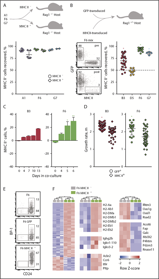 Figure 6. MHC II controls growth and differentiation of transformed B cells. (A) Frequency of MHC II− leukemic cells recovered from Rag1−/− recipients that had received A1, F6, or G7 cells, sorted on the basis of MHC II expression prior to inoculation. (B) B3, D5, F6, or G7 cells, transduced with either GFP or MHC II Ab1 and Aa chains were mixed in equal ratios and transferred into Rag1−/− recipients. GFP and MHC II expression in mixtures of F6 cells before (pre) and after (post) transfer in Rag1−/− recipients is shown (left). Also shown is the frequency of GFP+MHC II− leukemic cells recovered from Rag1−/− recipients that had received mixtures of GFP or MHC II–transduced B3, D5, F6, or G7 cells (right). *P < .001 by Student t tests. (A-B) Symbols represent individual recipient mice and group means (plus or minus SEM) are also shown. (C) B3 and F6 cells were transduced either with GFP or MHC II Ab1 and Aa chains. GFP+ and MHC II+ cells from the same cell line were mixed at equal ratios and cocultured. Mean change (plus or minus SEM) from starting frequency of MHC II− cells over time in such cocultures (B3, n = 2; F6, n = 4). *P = .03; **P = .08 by 1-way ANOVA on ranks. (D) Growth rate, indicated by the specific growth rate constant, μ, of the exponential growth phase as measured with the IncuCyte live cell analysis system, of B3 or F6 cells transduced either with GFP or MHC II Ab1 and Aa chains. Symbols represent separate cultures. *P < .001 by 2-tailed Mann-Whitney rank-sum tests. (E) CD24 and BP-1 expression in parental F6 cells and those transduced either with GFP or MHC II Ab1 and Aa chains. (F) Expression of differentially expressed genes (at least twofold, q = 0.05) between MHC II− and MHC II+ F6 cells (left), expression of selected MHC II, immunoglobulin, and B-cell differentiation genes in the same cells (middle), and expression of selected genes downregulated in MHC II+ F6 cells (right).