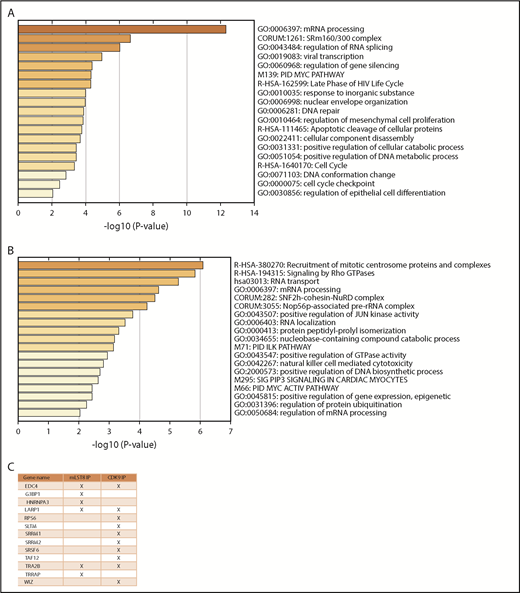 Figure 4. CDK9 regulates phosphorylation of proteins involved in mRNA processing and splicing. (A) MV4-11 cells were treated with atuveciclib for 1 hour and then analyzed for global phosphorylation changes, using phosphoproteomic LC-MS/MS. Proteins that exhibited significant downregulation of phosphorylation upon atuveciclib treatment were annotated using Metascape. The heat map identifies the pathways most significantly affected. (B) MV4-11 cells were treated with atuveciclib for 1 hour, and then global phosphorylation changes were analyzed using phosphoproteomic LC-MS/MS. Proteins that exhibited significant upregulation of phosphorylation upon atuveciclib treatment were annotated using Metascape. The heat map identifies the pathways most significantly affected. (C) List of proteins whose phosphorylation status was downregulated by atuveciclib treatment and were also identified as potential binders to either mLST8 or CDK9.