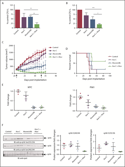 Figure 7. CDK9 inhibition enhances the suppressive effects of cytarabine in vitro and in vivo. (A) U937 cells were plated in methylcellulose in the presence of control (DMSO), atuveciclib (Atuv; 0.5 µM), or cytarabine (Ara-C; 5 ng/mL), or a combination of atuveciclib and cytarabine for 7 days. CFU-L was assessed in clonogenic assays in methylcellulose. Data are expressed as a percentage of DMSO control-treated cells. Shown are the means + SE of 4 independent experiments. **P < .01 using a 1-way ANOVA with Tukey’s multiple comparisons test. (B) MV4-11 cells were seeded in methylcellulose in the presence of control (DMSO), atuveciclib (0.3 µM), or cytarabine (10 ng/mL) or a combination of atuveciclib and cytarabine, for 7 days. CFU-L was assessed in clonogenic assays in methylcellulose. Data are expressed as a percentage of DMSO control-treated cells. Shown are the means + SE of 4 independent experiments. *P < .5, ***P < .001 using a 1-way ANOVA with Tukey’s multiple comparisons test. (C) Tumor volumes from an AML xenograft model are shown. MV4-11 cells were subcutaneously injected into the left flank of athymic nude mice. Once mice had measurable tumors, mice were randomized into 5 animals per group treated with control, cytarabine, atuveciclib, and the combination of atuveciclib and cytarabine. Mice were treated for a total of 12 days (days 21-33 postinjection). Start and end of treatment are indicated by arrows on the graph. (D) Survival analysis of mice that are described in panel C. Survival was determined as time to euthanasia. (E) For analysis of CDK9 target gene expression after treatment, a separate cohort of mice was treated as described in panel C for 3 days. Tumors were harvested and frozen, and then RNA was extracted. Gene expression for MYC, and PIM1 was measured by qRT-PCR, using GAPDH for normalization. Data are expressed as fold increase over the average of the expression levels in tumors from control mice, and shown are means + SE of 4 separate mice per group. (F) Immunoblotting analyses for p-rpS6 detection were conducted on frozen tumor lysates from a separate cohort of mice treated as per panel C for 3 days. Cell lysates from tumors for the indicated treatment conditions were analyzed by SDS-PAGE and immunoblotted with the indicated antibodies. The immunoblots with antibodies against the phosphorylated forms of rpS6 or against total rpS6 were analyzed in parallel by SDS-PAGE. Densitometry was performed and calculated using the total rpS6 for each respective mouse for normalization. Each lane represents an individual tumor.