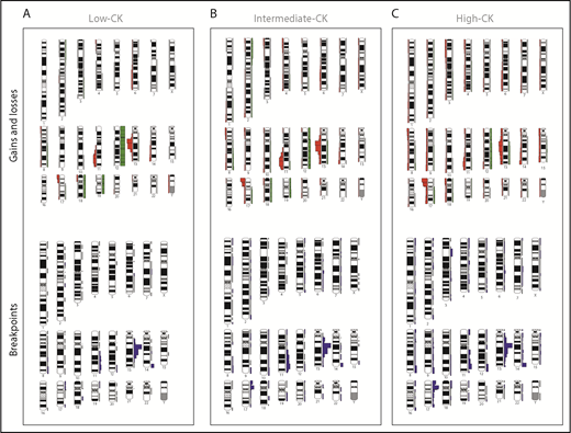 Figure 3. Distribution of chromosome gains and losses as well as chromosomal breakpoints in the CKs of the present series within 3 aberrations (low-CK), 4 aberrations (intermediate-CK), and ≥5 aberrations (high-CK). (A) 3 aberrations (low-CK); (B) 4 aberrations (intermediate-CK); (C) ≥5 aberrations (high-CK). Gains, right green bars; losses, left red bars; translocation breakpoints, right blue bars adjacent to chromosomes. Ideograms were prepared with the CYDAS software package, freely available at www.cydas.org.