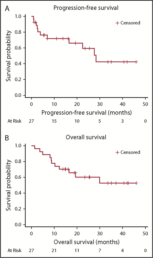 Figure 1. Survival outcomes: median follow-up time, 25.6 months. (A) PFS. Two-year PFS was 59.4%. (B) Overall survival. Two-year overall survival was 60.6%.