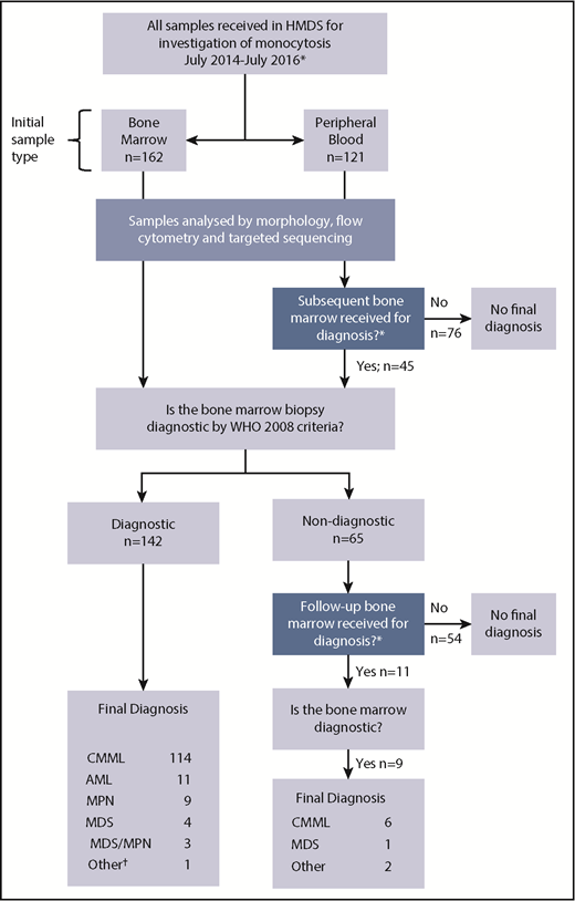 Figure 1. Summary of samples included in the study. Flowchart of cases referred to HMDS for investigation of a monocytosis. *Decision to investigate was at the discretion of the referring clinician. †Focal area of diffuse large B-cell lymphoma noted in BM, likely co-occurring with CMML.