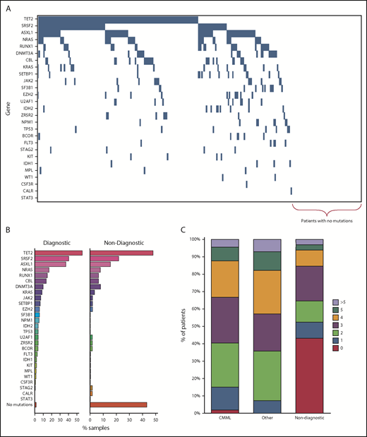Figure 2. Characteristics of mutations detected in patient samples. (A) Spectrum of mutations detected across all patients in the study (N = 283). (B) Comparison of mutations detected in those with a diagnostic BM sample (n = 142) vs a nondiagnostic BM sample (n = 65). (C) Distribution of the number of mutations according to final diagnostic category. “Other” denotes those patients with an alternative hematological malignancy.