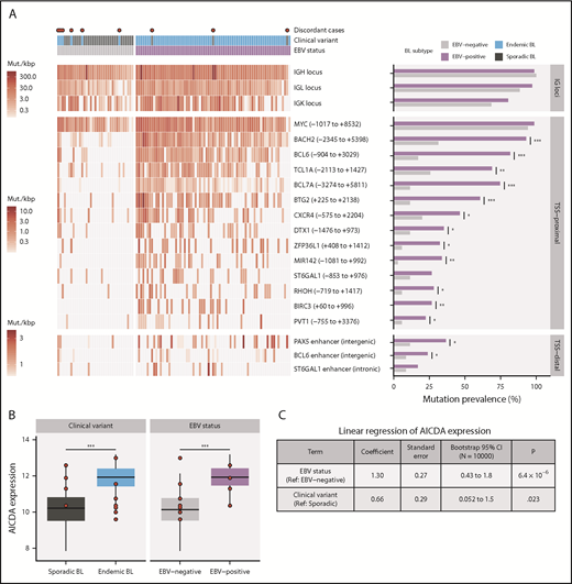 Figure 2. Differential AICDA activity in BL. (A) Left-hand panel shows for each tumor the density of noncoding mutations as mutations per kilobase (mut./kbp) in noncoding mutation peaks annotated with the nearest transcription start site (relative position in parentheses) or regulatory element. Peaks overlapping IG loci are shown separately. Red points indicate discordant cases, which we define as EBV-negative eBLs and EBV-positive sBLs. Right-hand panel compares the mutation prevalence for each peak in EBV-positive and EBV-negative tumors. Significance brackets: *Q < 0.1; **Q < 0.001; ***Q < 0.00001 (Fisher’s exact test). (B) AICDA expression in BL tumor samples stratified on clinical variant status or tumor EBV status (N = 117). Discordant cases, including additional ones from the validation cohort, are highlighted as red points. Significance brackets: ***P < .00001 (Mann-Whitney U test). (C) Linear regression of AICDA expression as a function of tumor EBV status and clinical variant status. This linear model was also bootstrapped 10 000 times to calculate bootstrap 95% confidence intervals (CI). Ref, reference level.