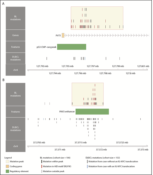 Figure 3. Novel targets of aberrant somatic hypermutation in BL. Noncoding mutation peaks overlapping (A) the PVT1 promoter region and (B) a distal PAX5 enhancer. Mutations from the BL discovery cohort (N = 106) and a DLBCL cohort (N = 153) are shown separately.